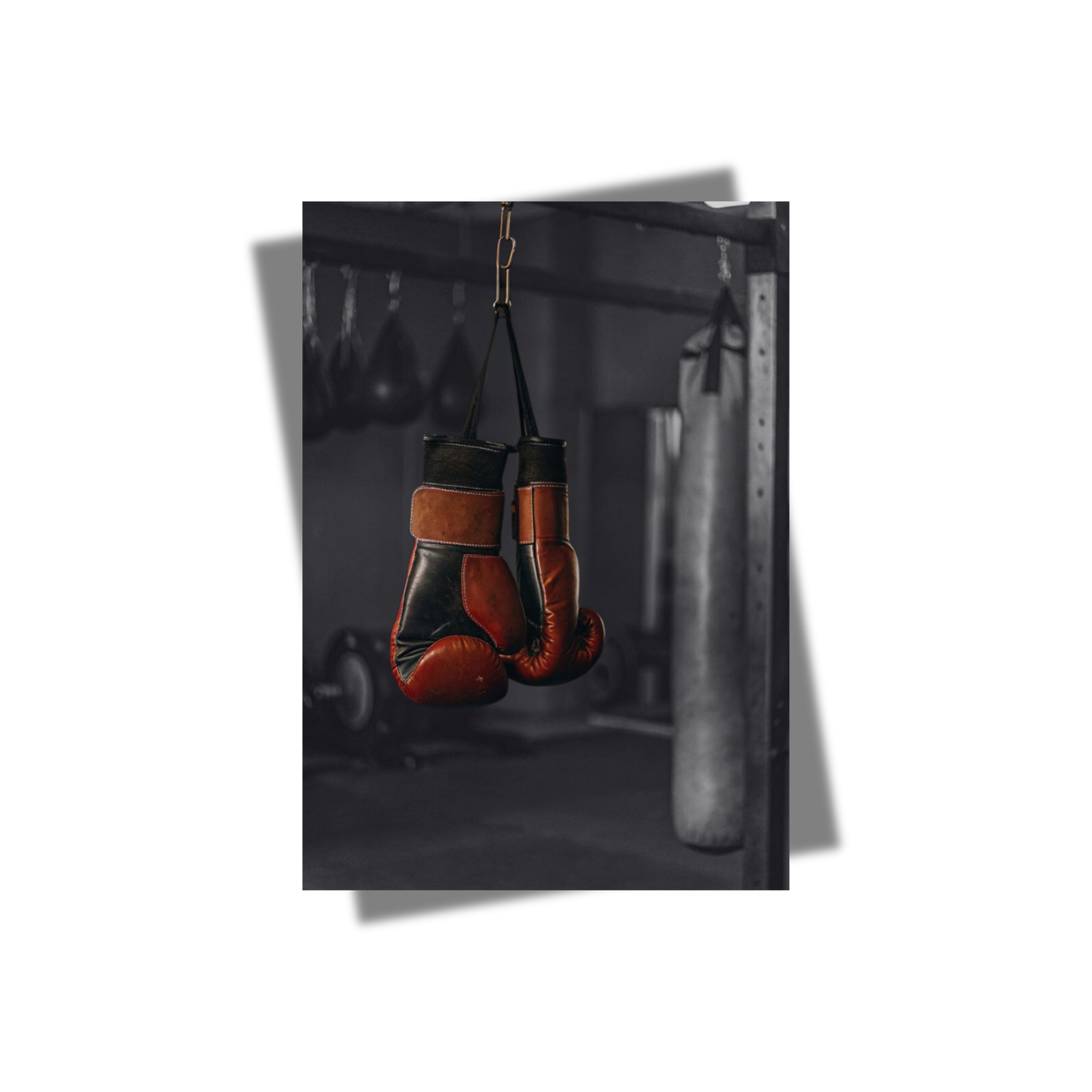 Affiche gants de boxe