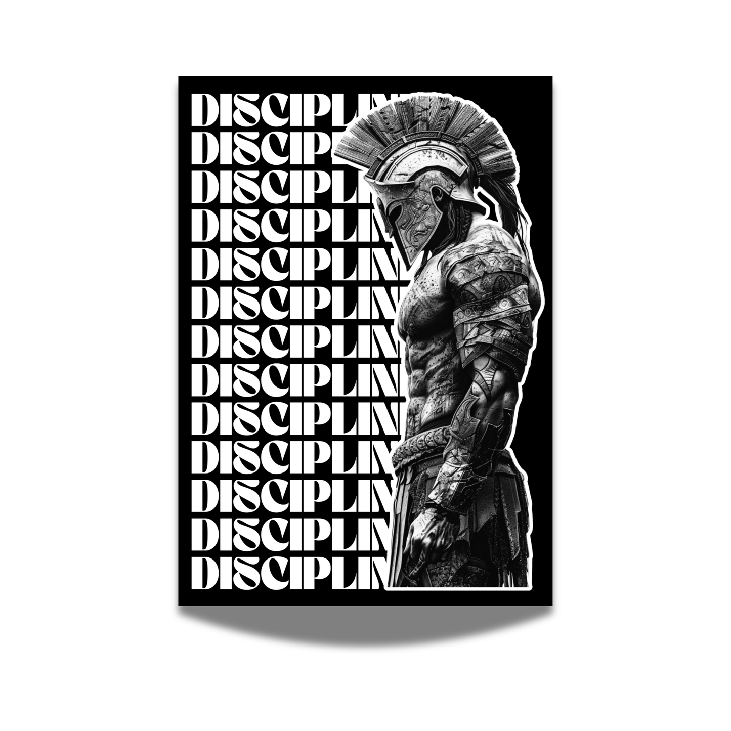 Affiche discipline romaine