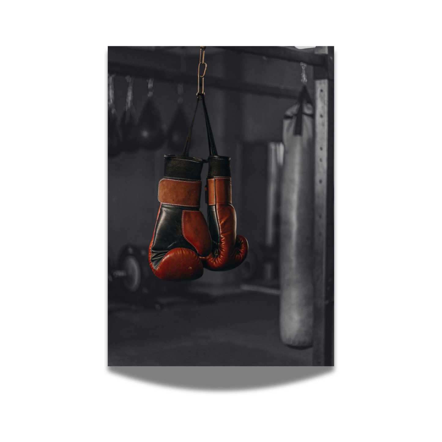 Affiche gants de boxe